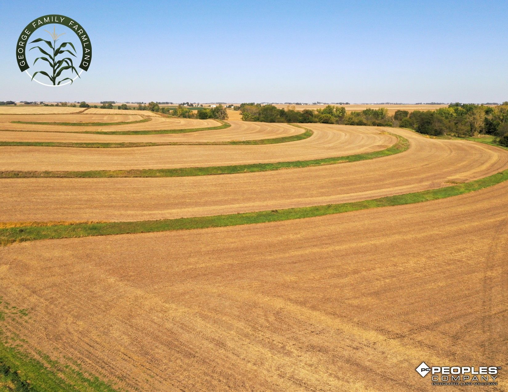 Listing Photo: Boone-County-Iowa-Farmland-Available-Near-Madrid-Iowa-18417 (12)